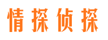 安塞市私家侦探公司